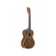 Ukulélé Ténor Cordoba 15TB-E Bocote