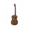 Ukulélé Ténor Cordoba 15TB-E Bocote