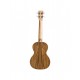 Ukulélé Ténor Cordoba 15TB-E Bocote