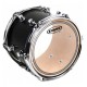 Peau de tom de 12 Evans EC2S transparente