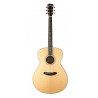 Guitare électro-acoustique Breedlove Stage exotic Concerto
