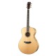 Guitare électro-acoustique Breedlove Stage exotic Concerto