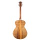 Guitare électro-acoustique Breedlove Stage exotic Concerto