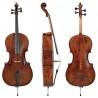 Violoncelle de Concert Gewa Germania 11