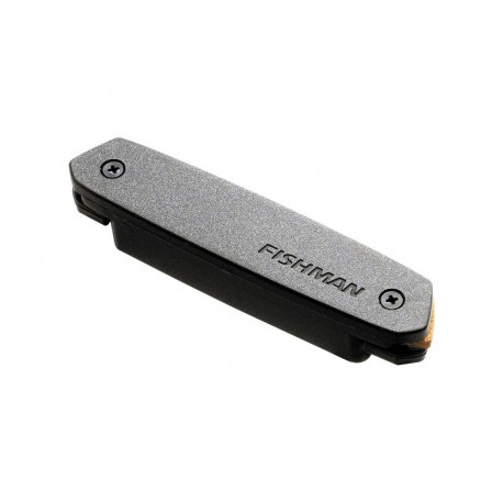 Micro de rosace Fishman NEO D01 simple