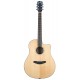Guitare électro-acoustique Breedlove Solo Western CE