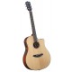 Guitare électro-acoustique Breedlove Solo Western CE