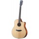 Guitare électro-acoustique Breedlove Solo Western CE