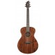 Guitare folk Breedlove Discovery concert Mahogany