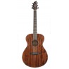 Guitare folk Breedlove Discovery concert Mahogany