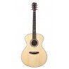 Guitare Breedlove Legacy Concerto LR Baggs
