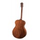 Guitare Breedlove Legacy Concerto LR Baggs