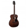 Guitare folk Stanford Radiotone Roots OM