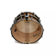 Caisse Claire ASBA TOP LUG signature JR ROBINSON