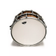 Caisse Claire ASBA TOP LUG signature JR ROBINSON