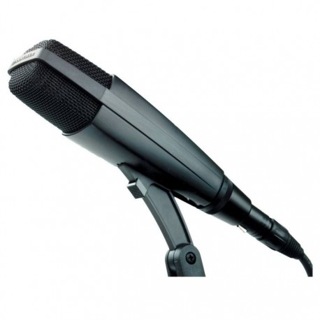 Micro instruments Sennheiser MD421 II