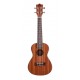 Ukulélé concert Prodipe BC2