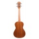 Ukulélé concert Prodipe BC2