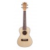 Ukulélé concert Prodipe BC25 Spruce Zébra