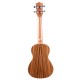 Ukulélé concert Prodipe BC25 Spruce Zébra