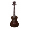 Ukulélé concert Prodipe BC220 Palissandre