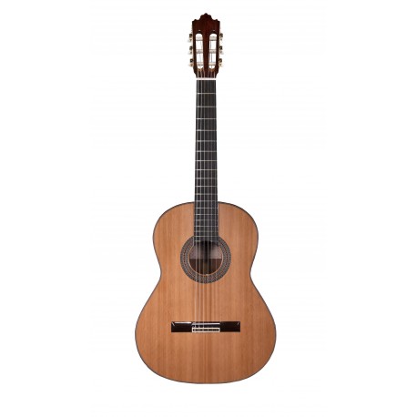 Guitare classique Prodipe Soloist 700