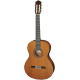 Guitare classique Cuenca 40 R