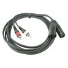 Cordon ligne 2xXLR M / 2xRCA M Lg 1.5m