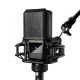 Micro de studio Lewitt LCT 441 FLEX 1"