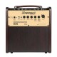 Ampli acoustique NUX Stageman 2 AC80 sur batterie looper