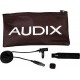 Micro spécial flute Audix ADX10FLP