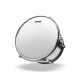 Peau de 14 Evans G2 sablée