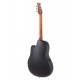 Guitare électro-acoustique Applause Balladeer AB24II-4 naturelle