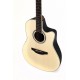Guitare électro-acoustique Applause Balladeer AB24II-4 naturelle