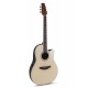 Guitare électro-acoustique Applause AB24II-CS naturelle
