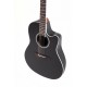 Guitare électro-acoustique Applause Balladeer AB24II-5 noire