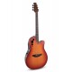 Guitare électro Applause AE48 Super Shallow Honeyburst Satin