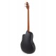 Basse électro-acoustique Applause Elite AEB4II