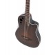 Basse électro-acoustique Applause Elite AEB4II