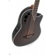 Basse électro-acoustique Applause Elite AEB4II