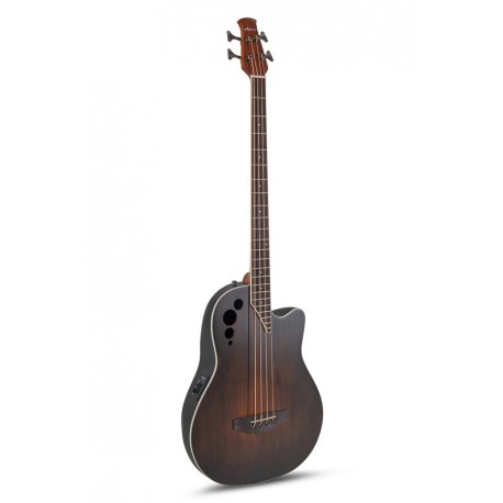 Basse électro-acoustique Applause Elite AEB4II