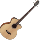 Basse électro-acoustique Takamine GB30CE naturelle