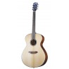 Guitare folk Breedlove Discovery S concerto DSSO21