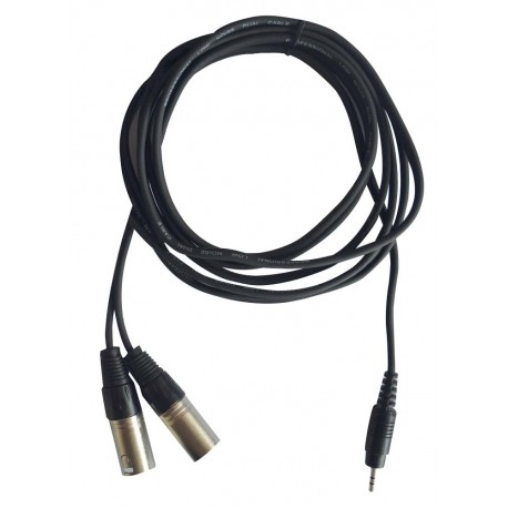 Cable mini jack vers 2x XLR males 3 metres