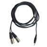 Cable mini jack vers 2x XLR males 3 metres
