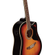 Guitare électro Eko Ranger 6 Brown Sunbusrt