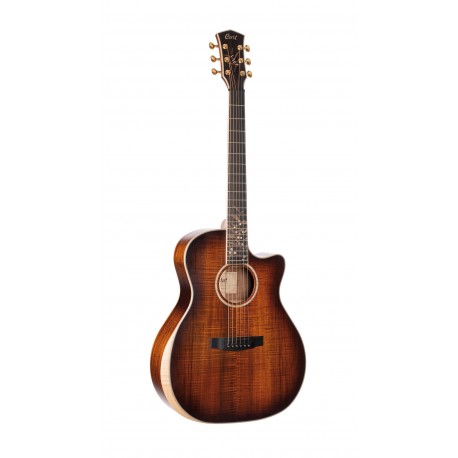 Guitare électro CORT THE BLACK TREE LIGHT BURST