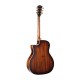 Guitare électro CORT THE BLACK TREE LIGHT BURST