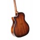 Guitare électro CORT THE BLACK TREE LIGHT BURST