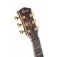 Guitare électro CORT THE BLACK TREE LIGHT BURST